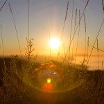 Rejoignez la Confrérie et obtenez notre Label Qualité grâce aux recommandations de vos clients!