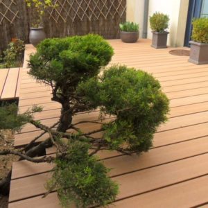 terrasse en bois