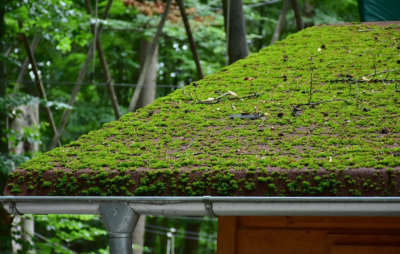 Comment retirer la mousse verte sur son balcon ou sa terrasse ? L'astuce  toute simple avec 2 produits