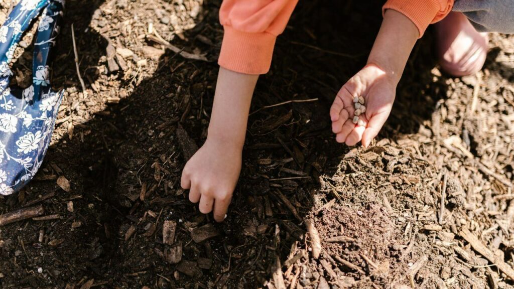 compost