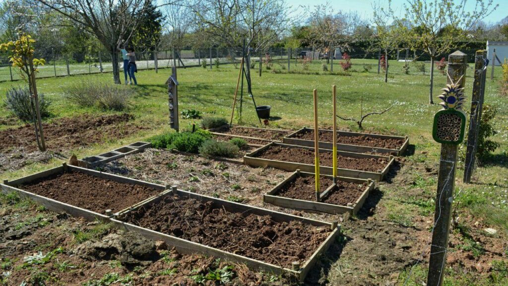 potager en carrés